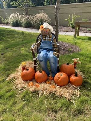 Happy Fall Display w pumpkins